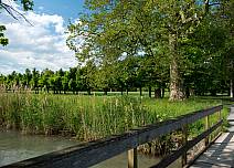 Mehrere Brücken führen über kleine Kanäle und verbinden den Rundweg. Sie ermöglichen auch Einblicke in die Wasserwelt am Thunersee. (bei Klick vergrösserte Ansicht Bild)