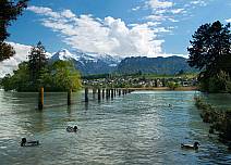 Der Bonstettenpark und seine Ufer sind Lebensraum für eine vielfältige Flora und Fauna. Zahlreiche Wasservögel können auf dem See beobachtet werden. Blick auf in Ufernähe schwimmende Enten Blickrichtung Einigen und Niesen. (bei Klick vergrösserte Ansicht Bild)