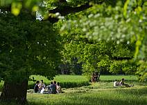 Einfach die Seele baumeln lassen: Im Bonstettenpark laden die grosszügigen Wiesen zum Picknicken und zum Verweilen ein. (bei Klick vergrösserte Ansicht Bild)
