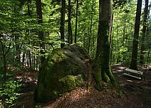 Eine kleine Rast einlegen: Viele Findlinge säumen den Weg in der Cholerenschlucht. An einigen Imposanten wie hier auf dem Bild laden Sitzbänke zum Verweilen ein. (bei Klick vergrösserte Ansicht Bild)
