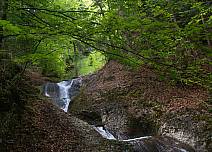 Verträumt und mystisch anmutend: Der Choleregrabe in der Schlucht im dichten Wald. (bei Klick vergrösserte Ansicht Bild)