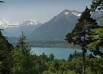 Auf dem Weg hinauf zur Rabenfluh ermöglichen Baumlücken immer wieder den Blick auf den Thunersee und den Niesen. (bei Klick vergrösserte Ansicht Bild)