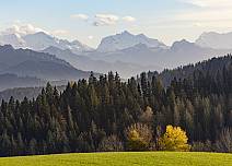 Ein Augenschmaus: Bei zahlreichen Aussichtspunkten präsentieren sich die saftigen Wiesen, die sattgrünen Wälder und die Alpen wie auf einem Gemälde. (bei Klick vergrösserte Ansicht Bild)