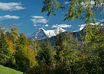 In der lauschigen Natur erheben sich Eiger und Mönch und ein Teil der Jungfrau am Horizont. (bei Klick vergrösserte Ansicht Bild)