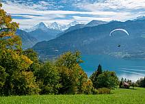 Nicht nur bei Wandernden beliebt: Vom Güggisgrat am Niederhorn herfliegende Gleitschirmflieger geniessen den fantastischen Ausblick auf die Region Thunersee und die Alpen ebenfalls. (bei Klick vergrösserte Ansicht Bild)